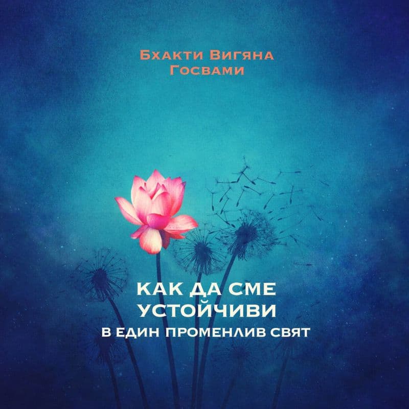 Как да сме устойчиви в един променлив свят